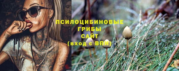 дурь Вяземский