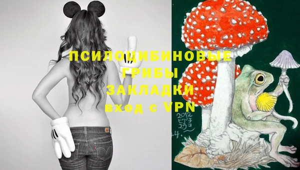 дурь Вяземский