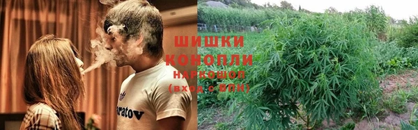 ГАЛЛЮЦИНОГЕННЫЕ ГРИБЫ Волосово