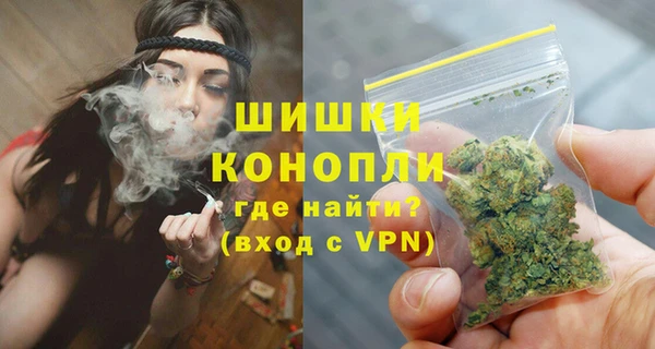 PSILOCYBIN Волоколамск